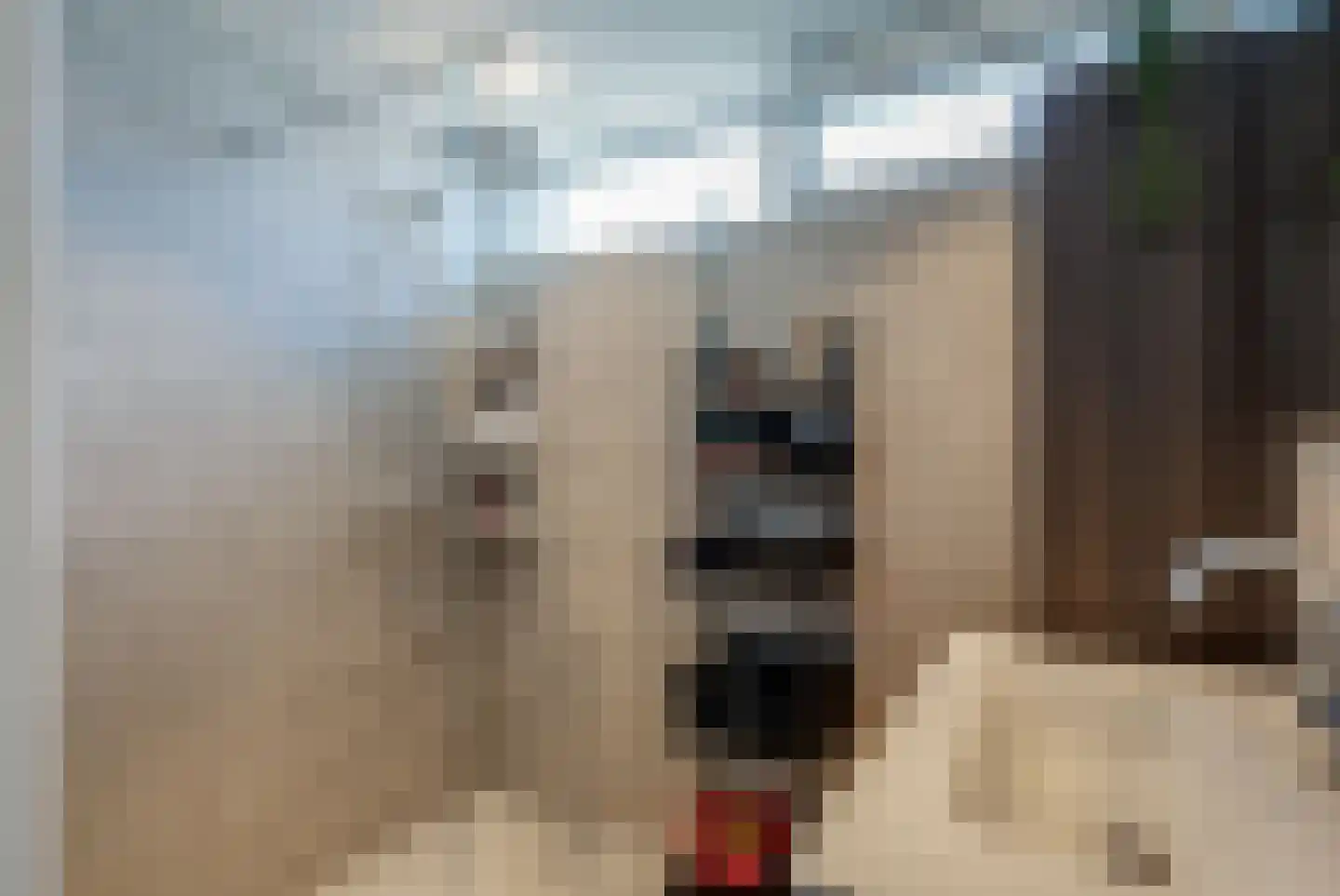 Sont 24 Delfzijl thumbnail 9