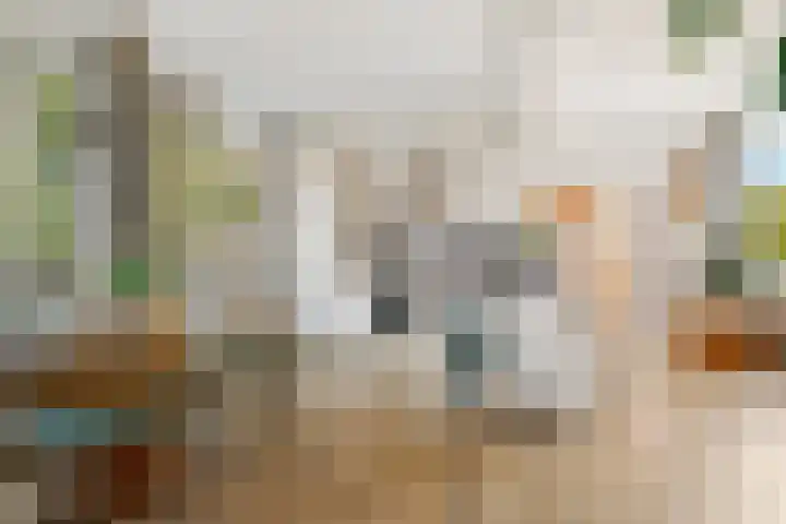 Sont 3 Hoofddorp thumbnail 10