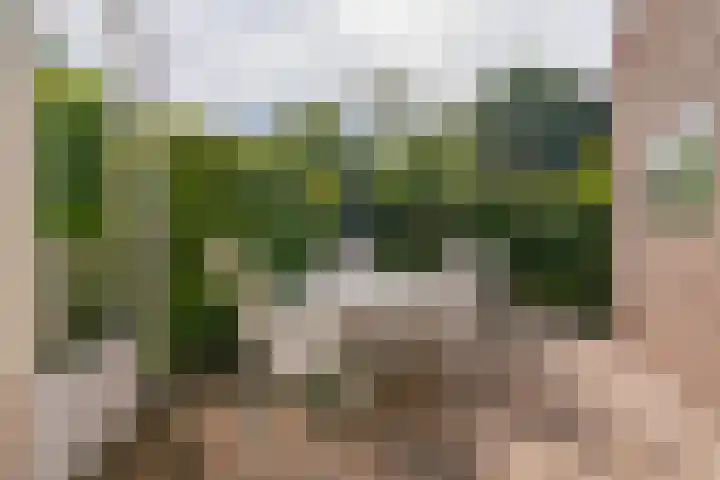 Sont 3 Hoofddorp thumbnail 30