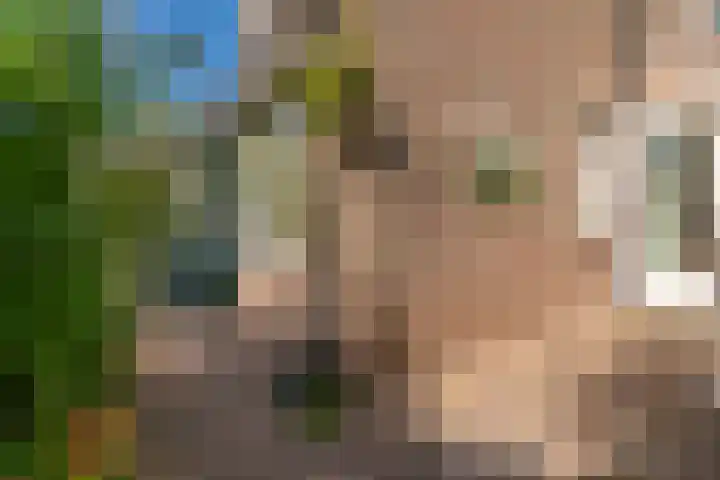 Sont 3 Hoofddorp thumbnail 31