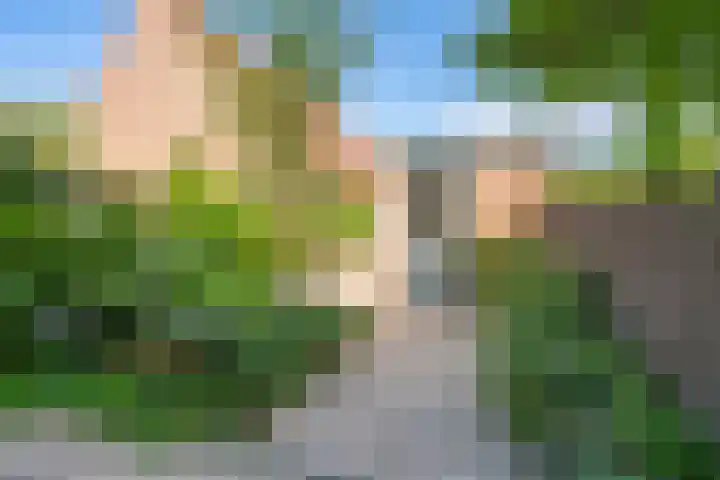 Sont 3 Hoofddorp thumbnail 34