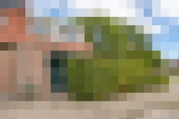 Sont 3 Hoofddorp thumbnail 5