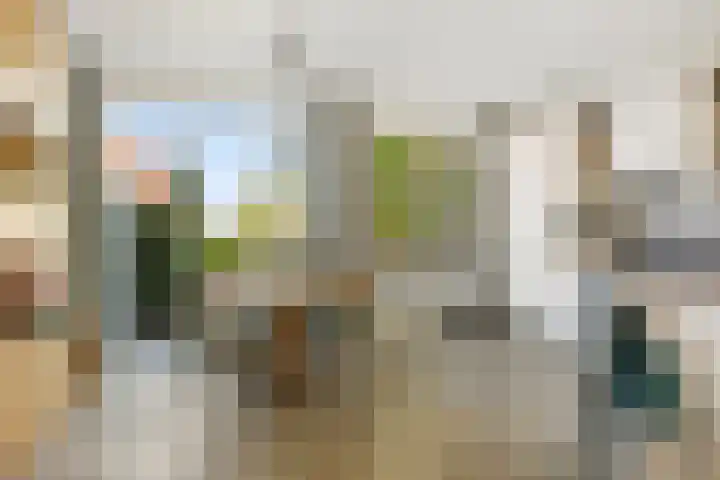 Sont 3 Hoofddorp thumbnail 9