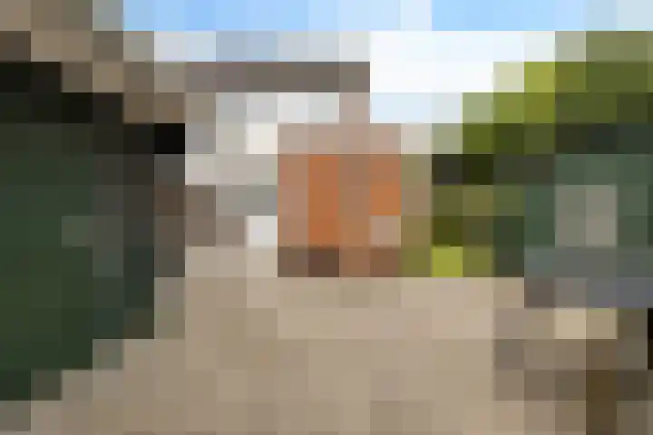 Sont 62 Delfzijl thumbnail 12