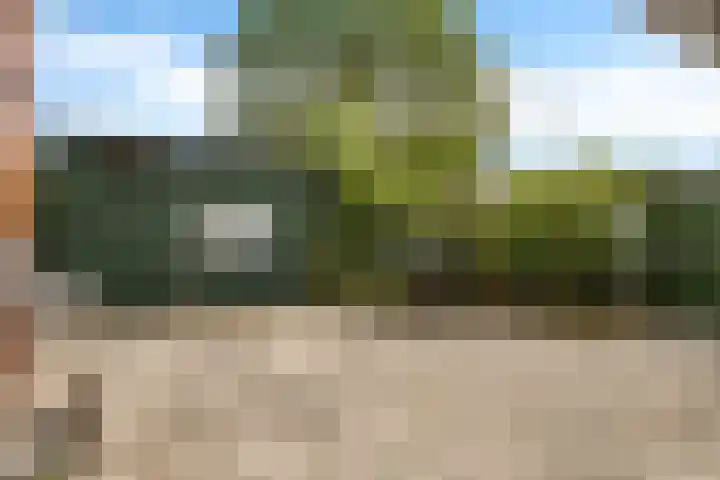 Sont 62 Delfzijl thumbnail 18