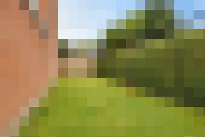 Sont 62 Delfzijl thumbnail 20