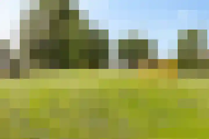 Sont 62 Delfzijl thumbnail 6