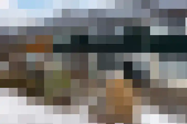 Sont 94 Delfzijl thumbnail 11
