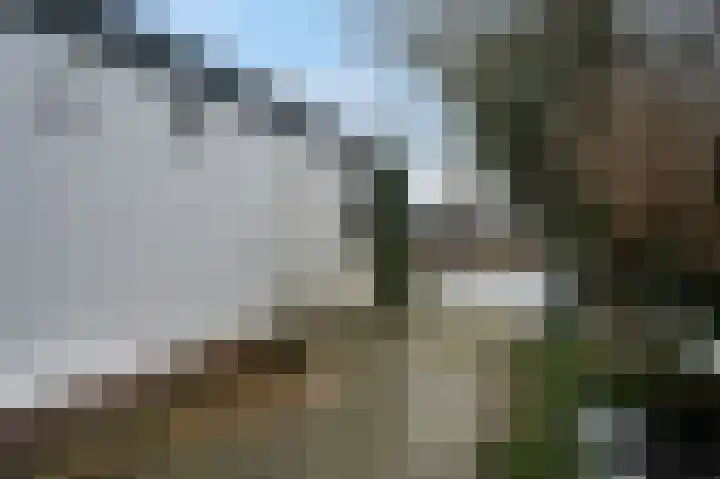 Sont 94 Delfzijl thumbnail 42