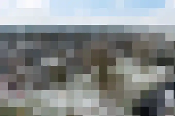 Sont 94 Delfzijl thumbnail 49