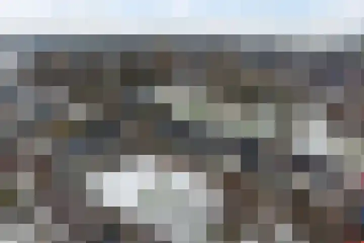 Sont 94 Delfzijl thumbnail 6
