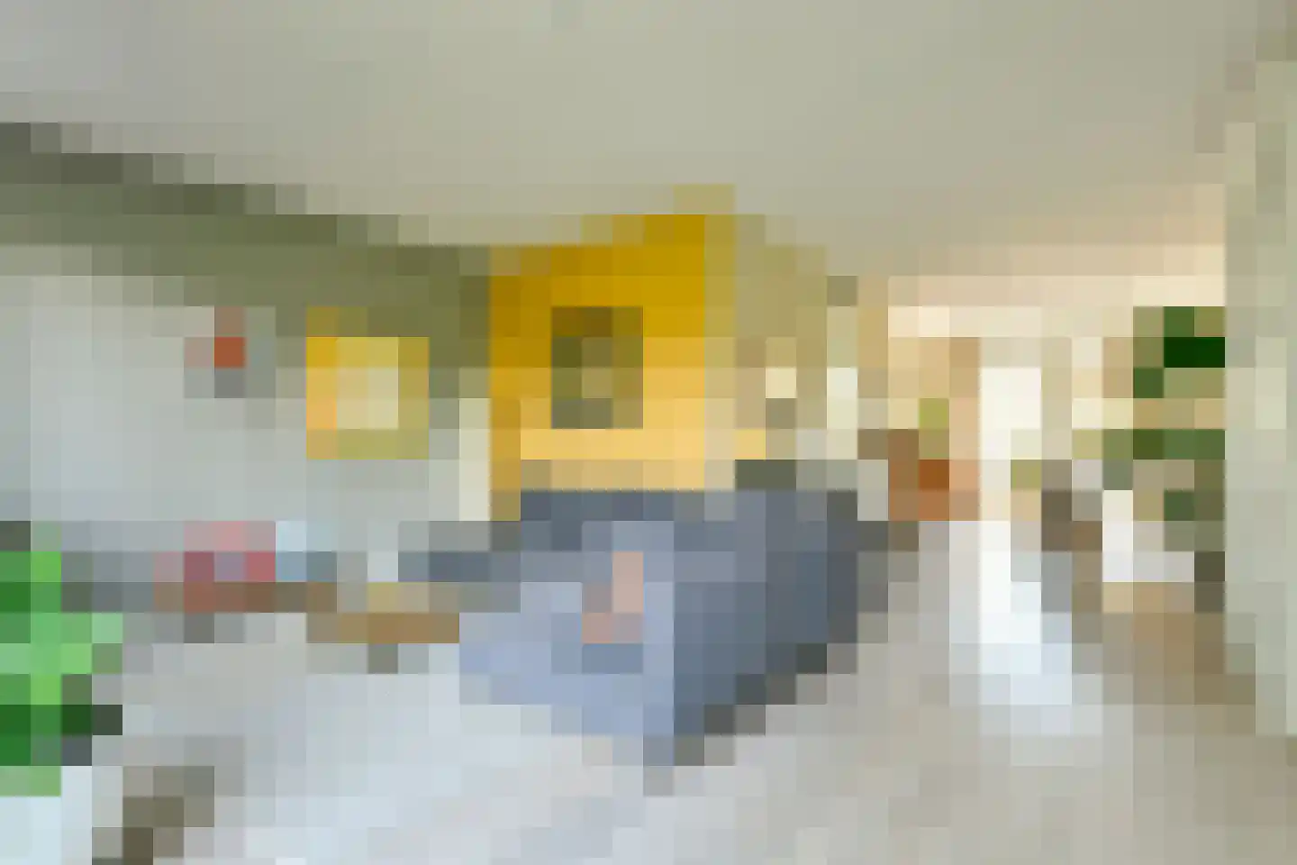 Sontvaarderstraat 21 Amsterdam thumbnail 11