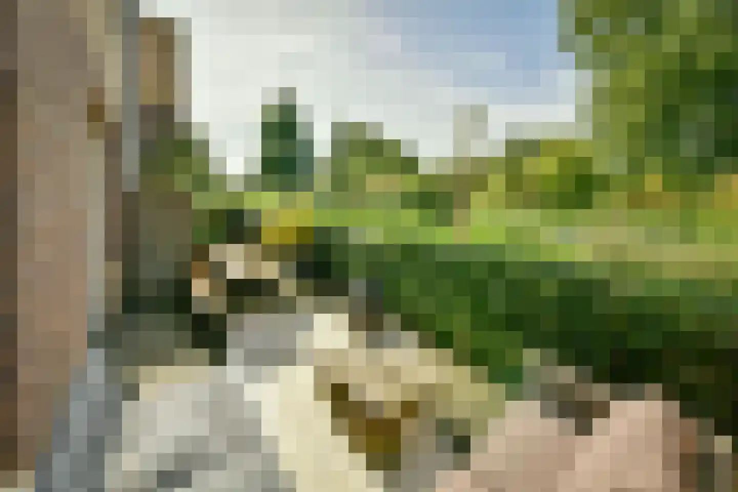 Sontvaarderstraat 21 Amsterdam thumbnail 14