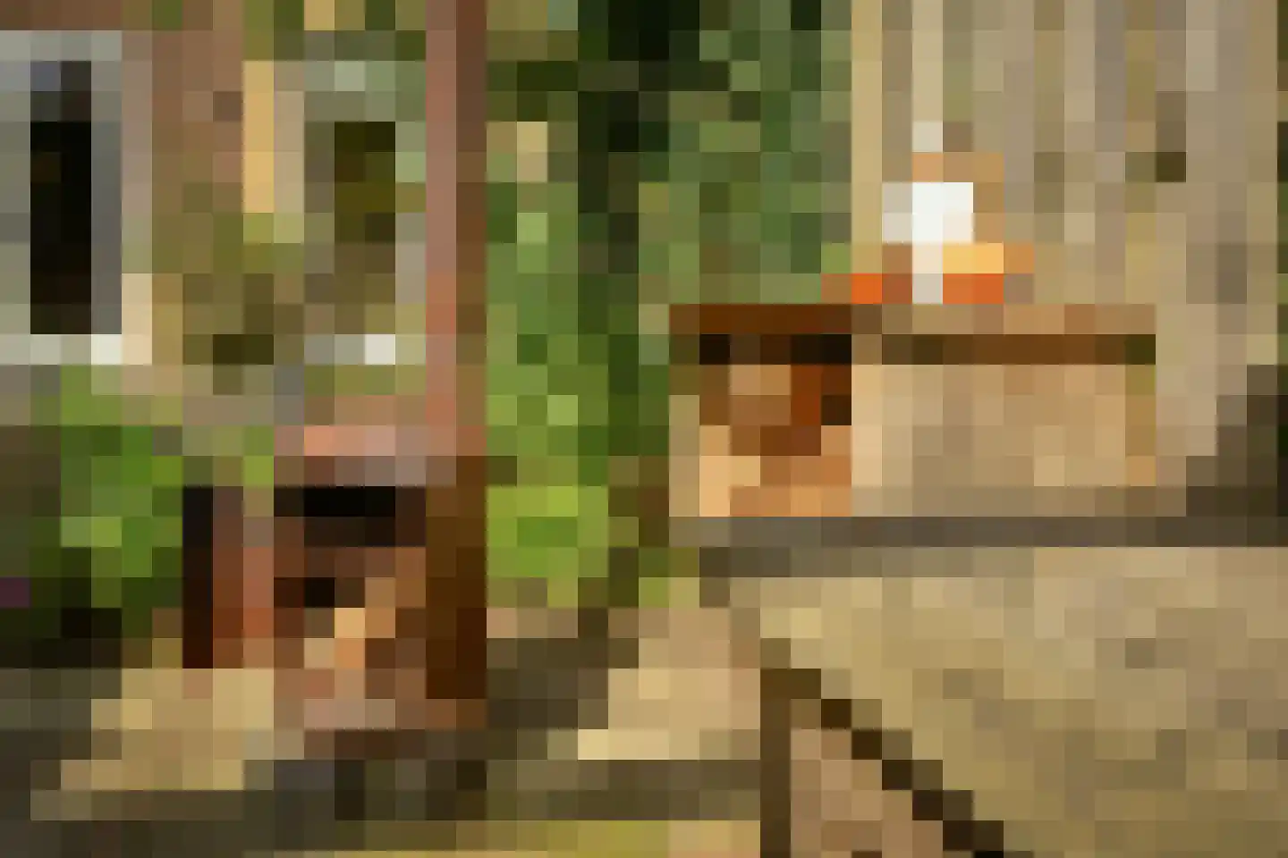 Sontvaarderstraat 21 Amsterdam thumbnail 21