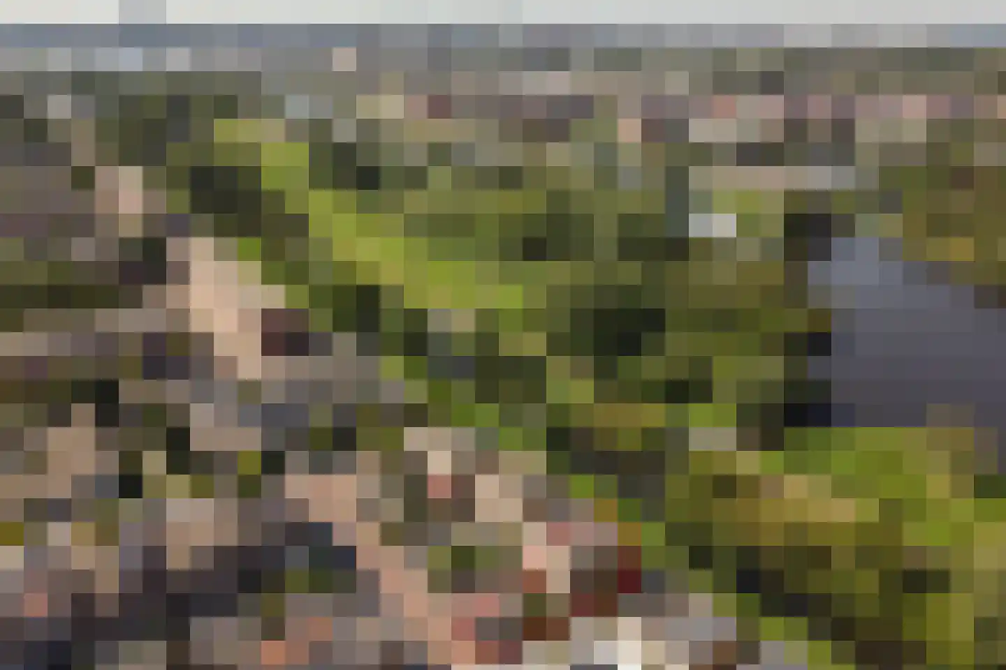 Sontvaarderstraat 21 Amsterdam thumbnail 45