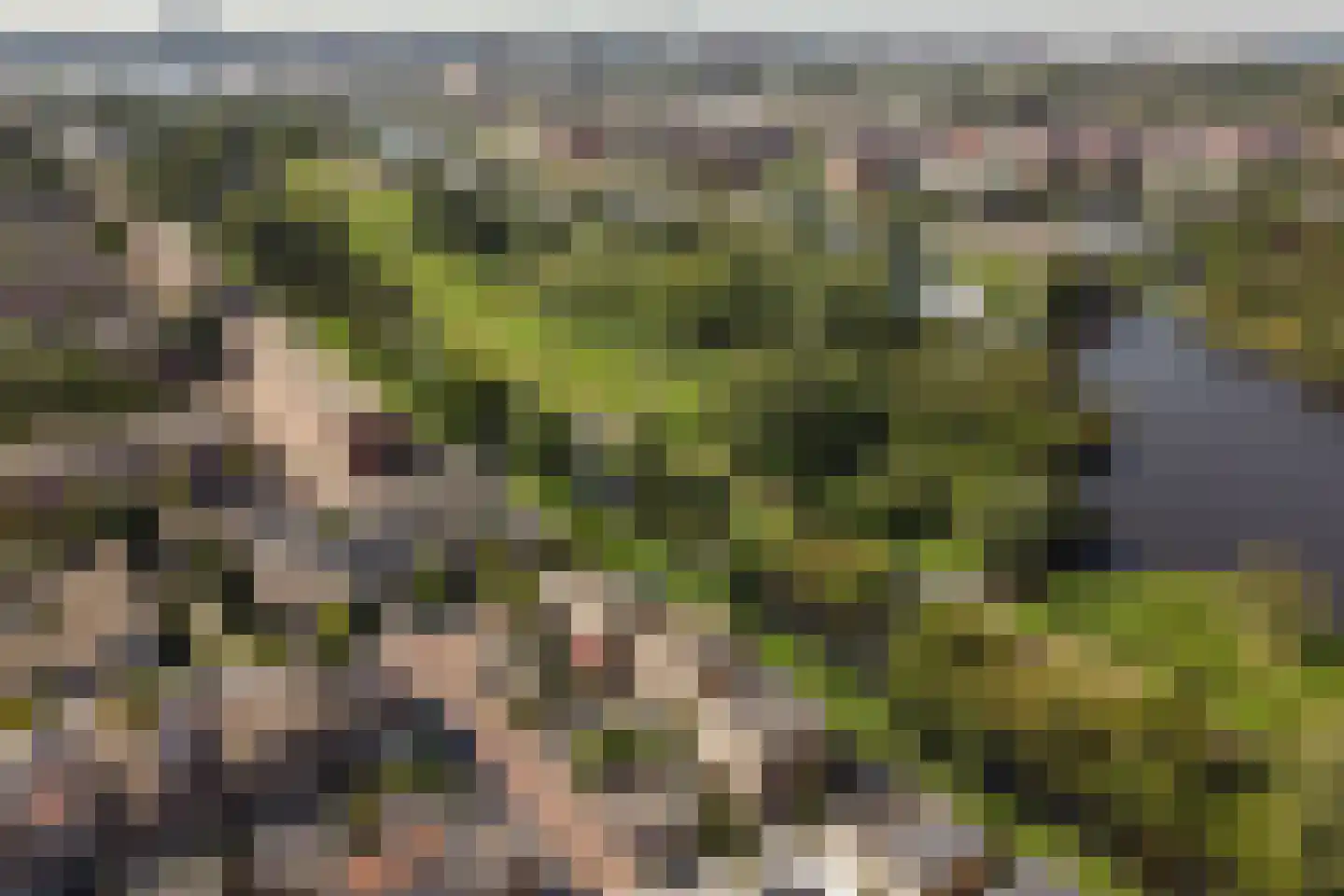 Sontvaarderstraat 21 Amsterdam thumbnail 49