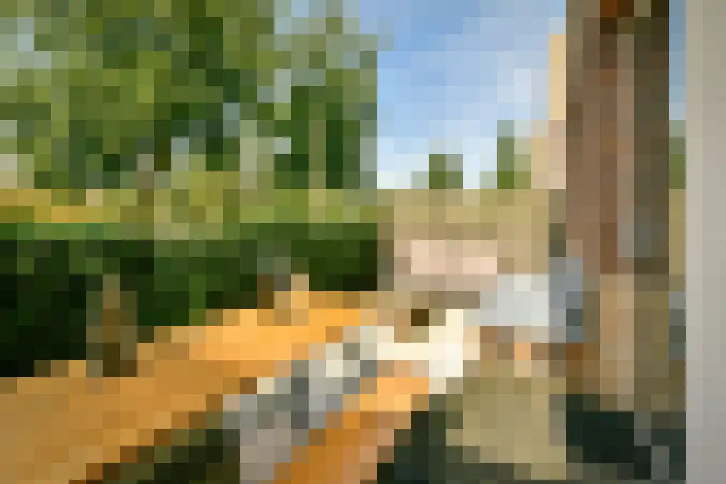 Sontvaarderstraat 21 Amsterdam thumbnail 5