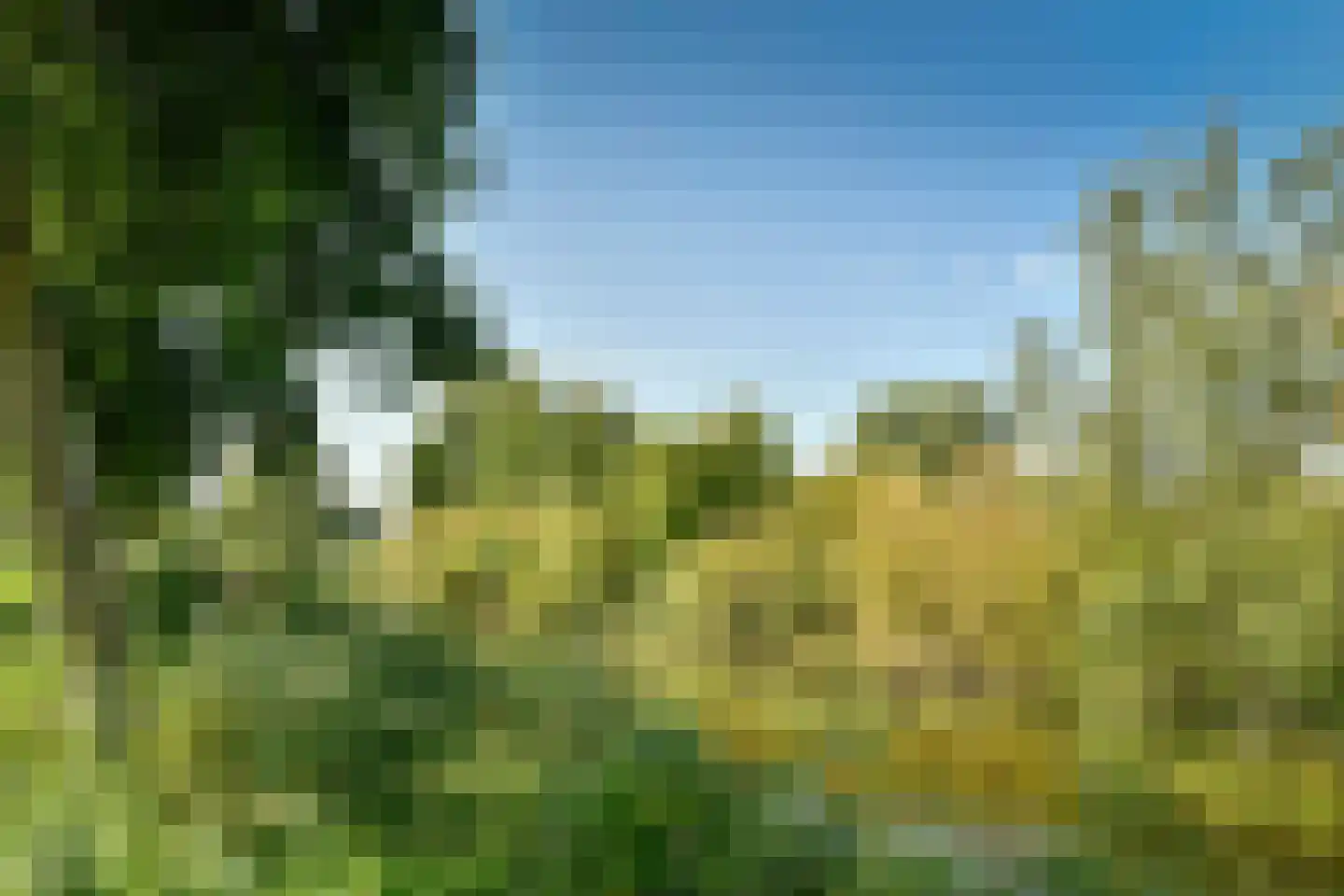 Sontvaarderstraat 21 Amsterdam thumbnail 6