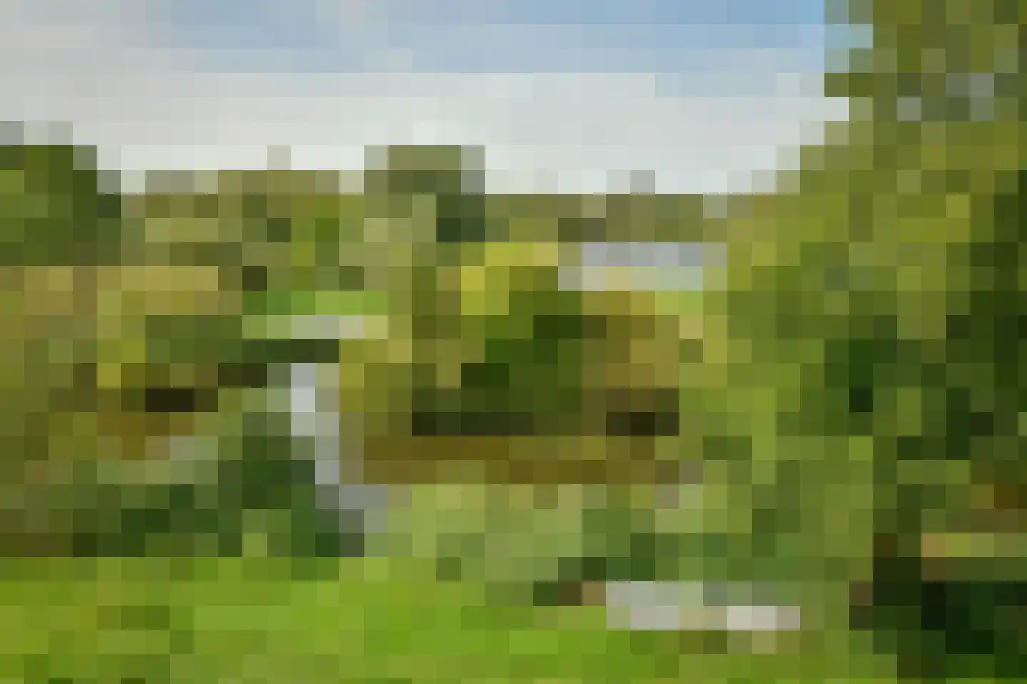 Sontvaarderstraat 21 Amsterdam thumbnail 7