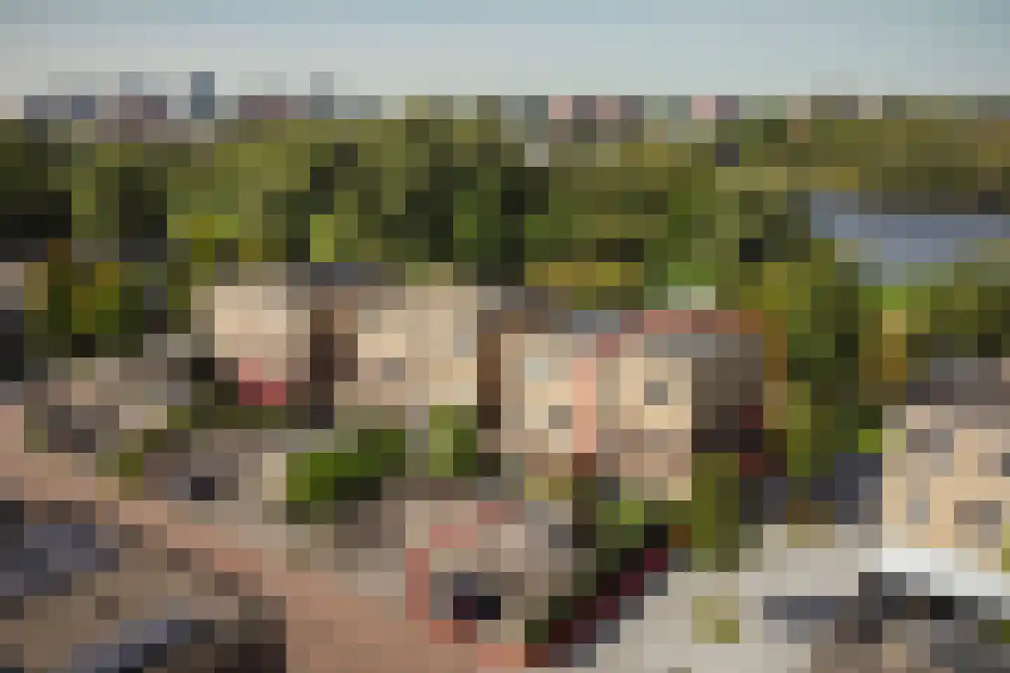 Sontvaarderstraat 21 Amsterdam thumbnail 8