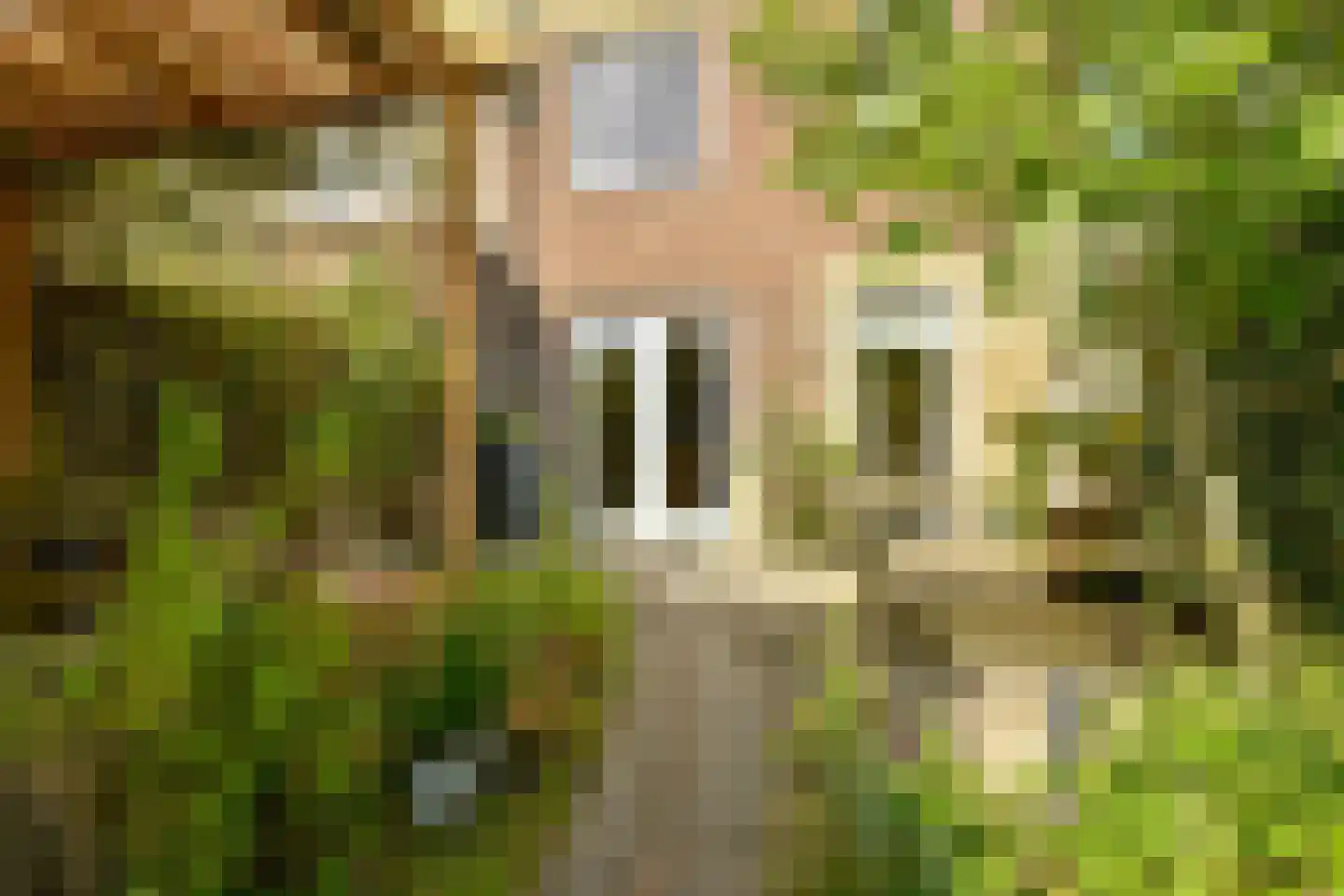 Sontvaarderstraat 21 Amsterdam thumbnail 9