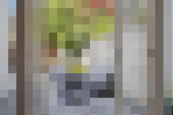 Sophia van Wurtemberglaan 12 Eindhoven thumbnail 11