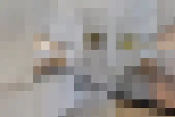 Sophia van Wurtemberglaan 12 Eindhoven thumbnail 12