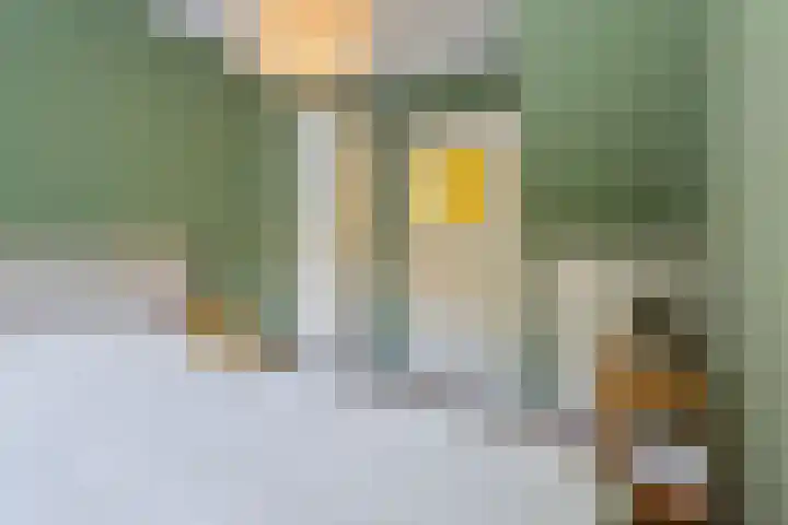 Sophia van Wurtemberglaan 12 Eindhoven thumbnail 17
