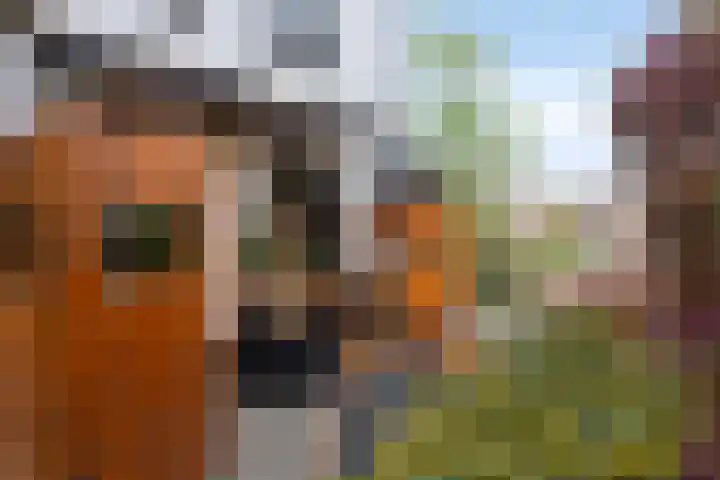 Sophia van Wurtemberglaan 12 Eindhoven thumbnail 31