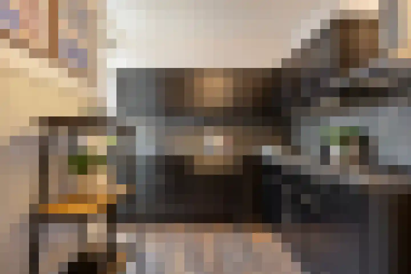 Sophia van Wurtemberglaan 16 Eindhoven thumbnail 18