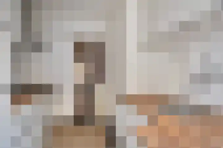 Sophia van Wurtemberglaan 46 Eindhoven thumbnail 21