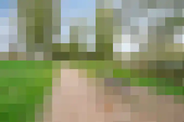 Sophia van Wurtemberglaan 46 Eindhoven thumbnail 60