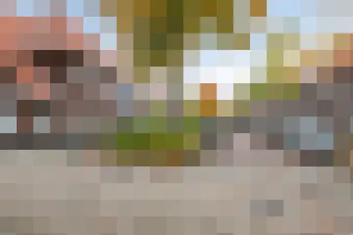 Sophia van Wurtemberglaan 46 Eindhoven thumbnail 7