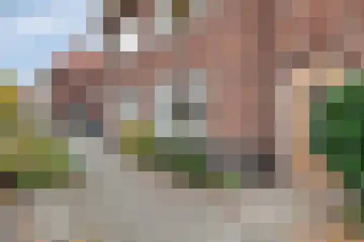 Sophia van Wurtemberglaan 46 Eindhoven thumbnail 8