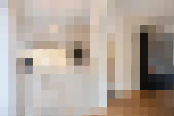 Sophia van Wurtemberglaan 55 Eindhoven thumbnail 15
