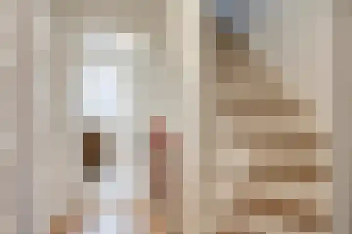 Sophia van Wurtemberglaan 55 Eindhoven thumbnail 27