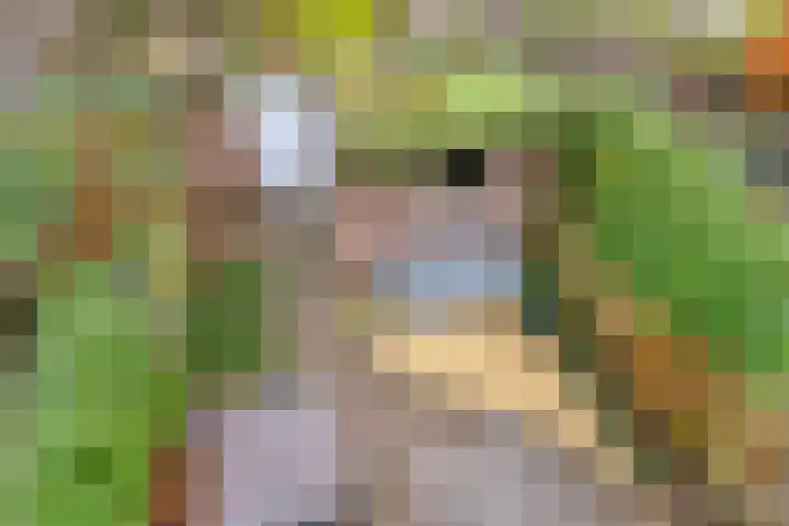 Sophia van Wurtemberglaan 55 Eindhoven thumbnail 36