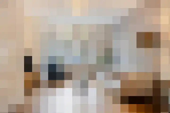 Sophia van Wurtemberglaan 55 Eindhoven thumbnail 8