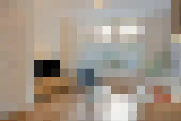 Sophia van Wurtemberglaan 55 Eindhoven thumbnail 9
