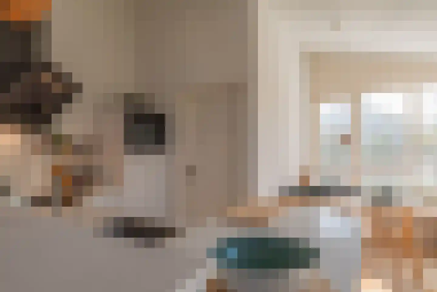 Sophiaboulevard 19 Kamperland thumbnail 14
