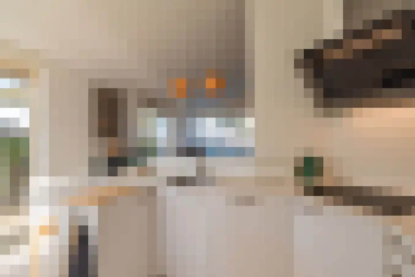 Sophiaboulevard 19 Kamperland thumbnail 15