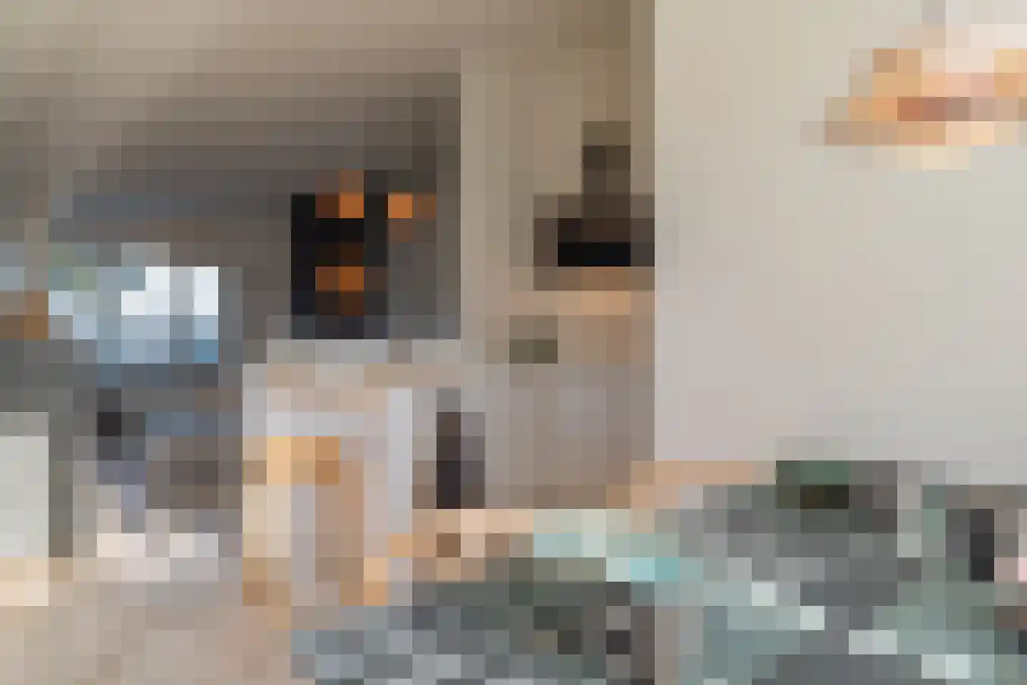 Sophiaboulevard 19 Kamperland thumbnail 16
