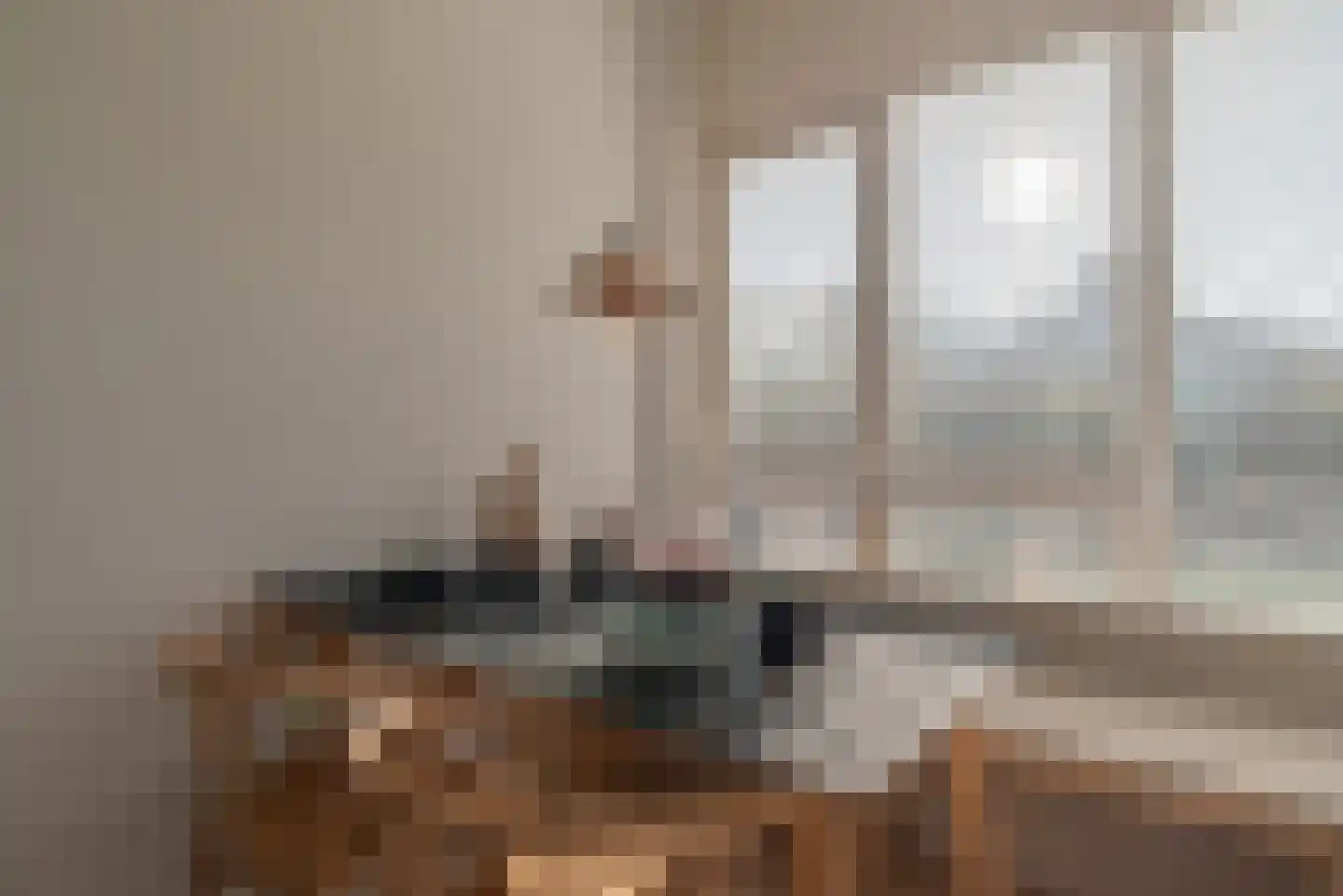 Sophiaboulevard 19 Kamperland thumbnail 17