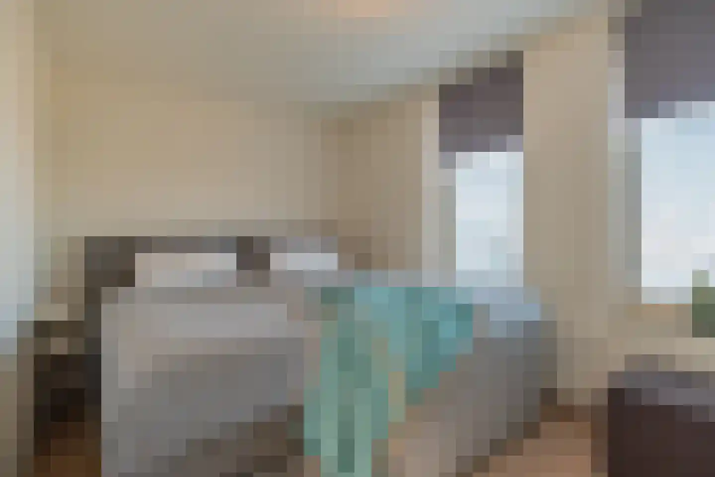 Sophiaboulevard 19 Kamperland thumbnail 22