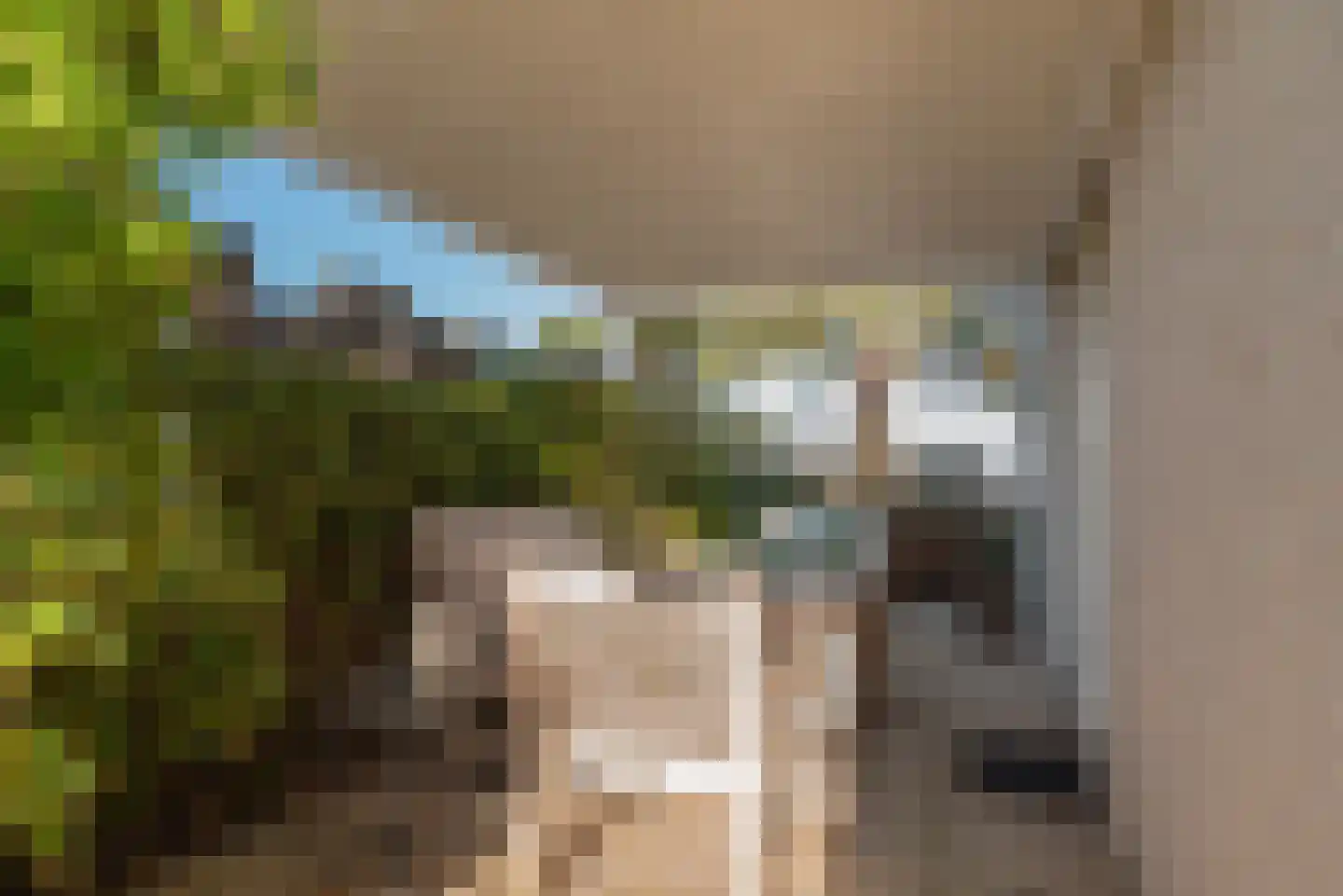 Sophiaboulevard 19 Kamperland thumbnail 32