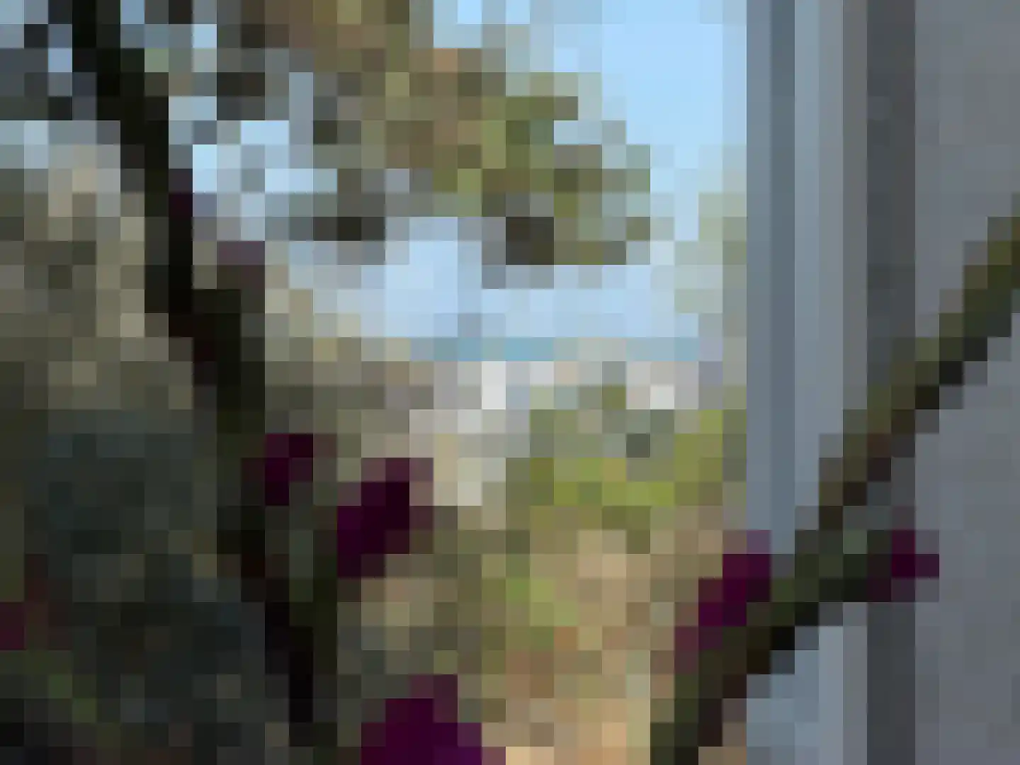 Sophiaboulevard 19 Kamperland thumbnail 38