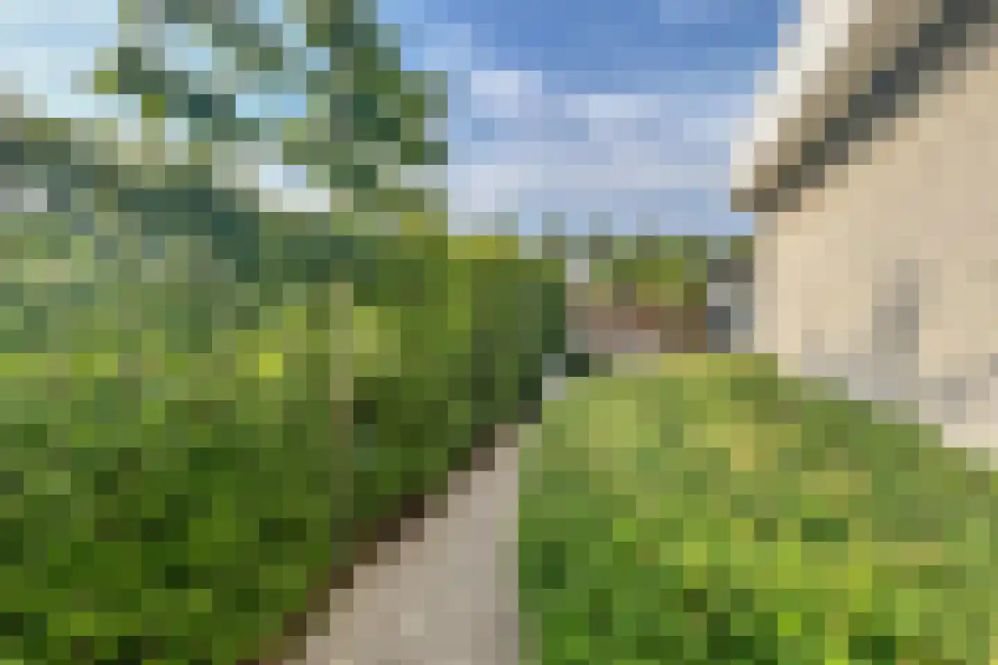 Sophiaboulevard 19 Kamperland thumbnail 41