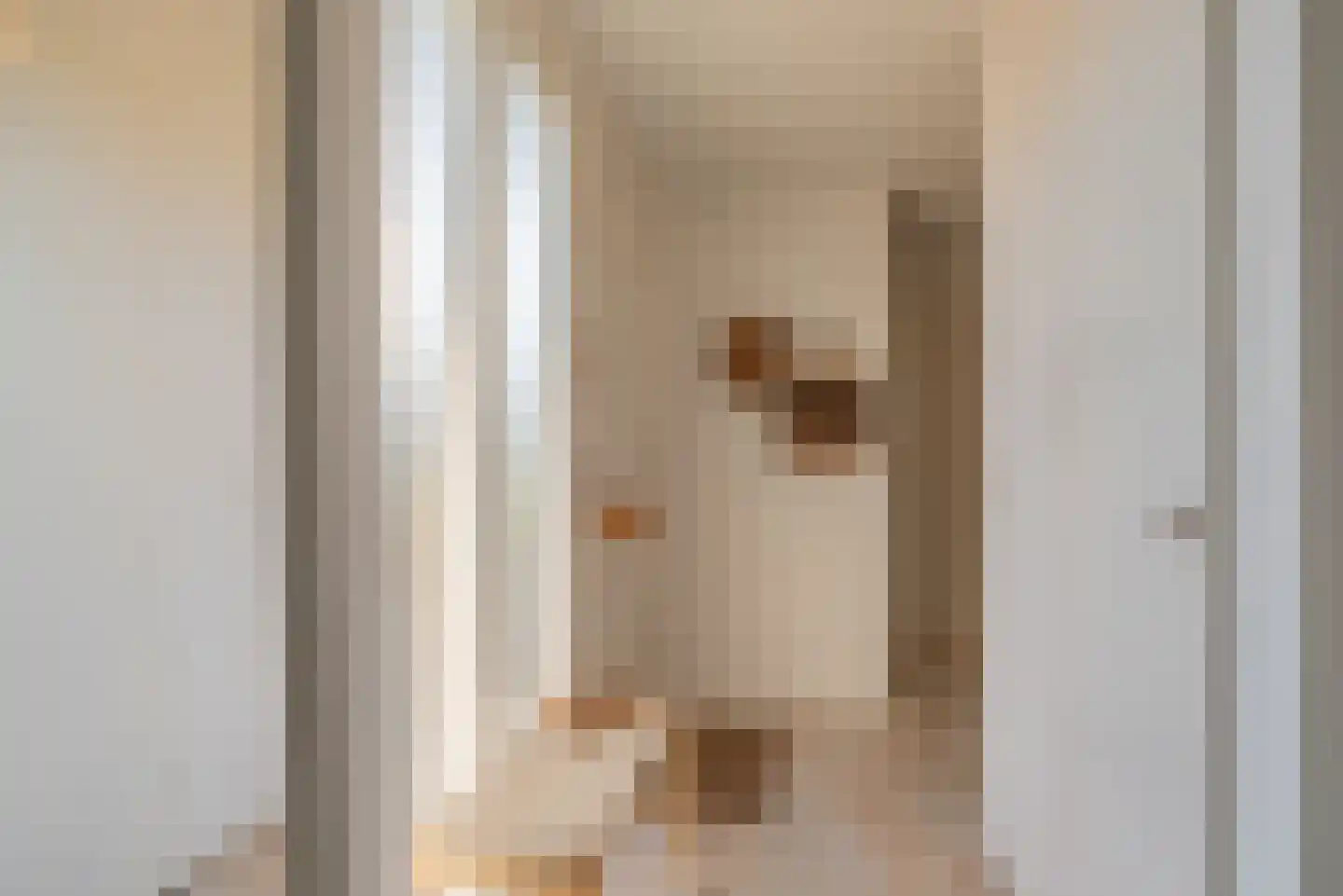 Sophiaboulevard 19 Kamperland thumbnail 8
