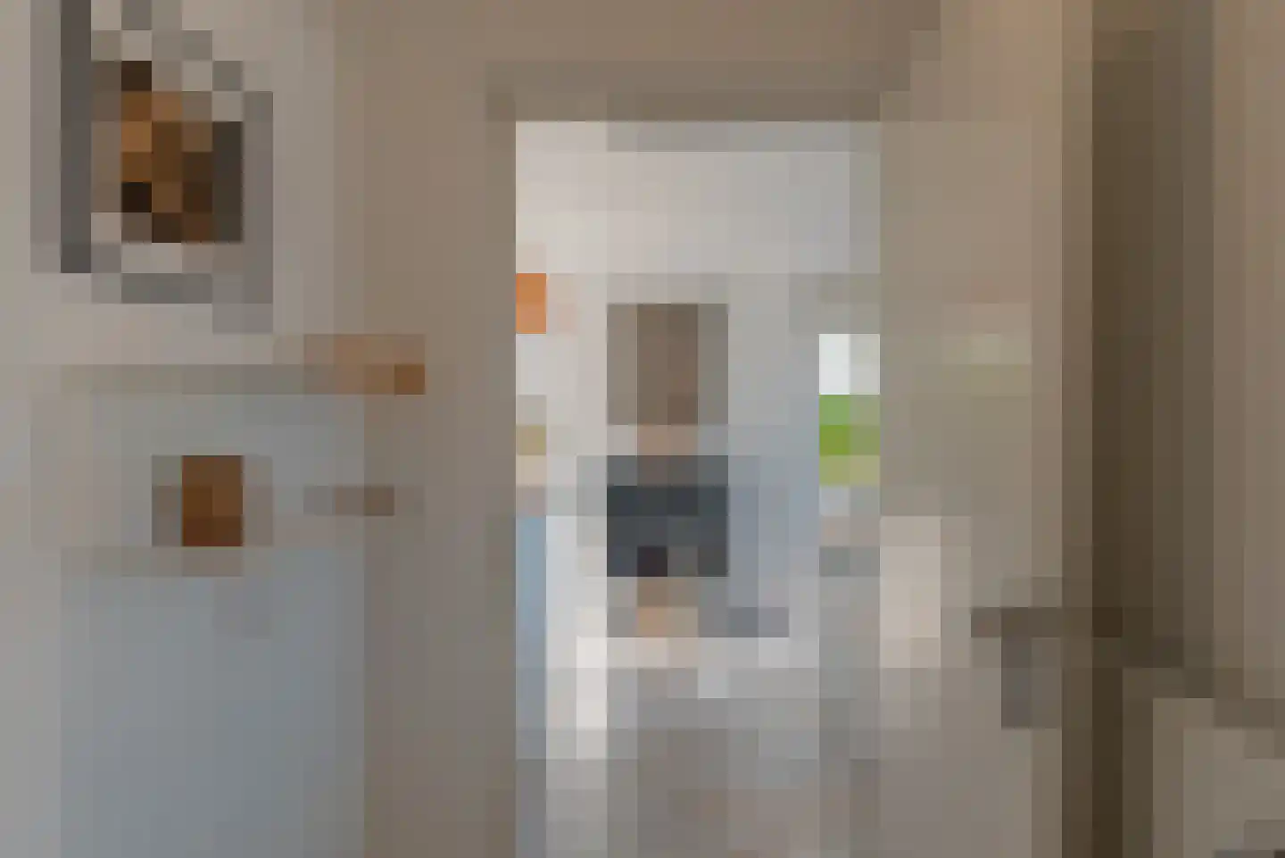 Sophiaboulevard 19 Kamperland thumbnail 9