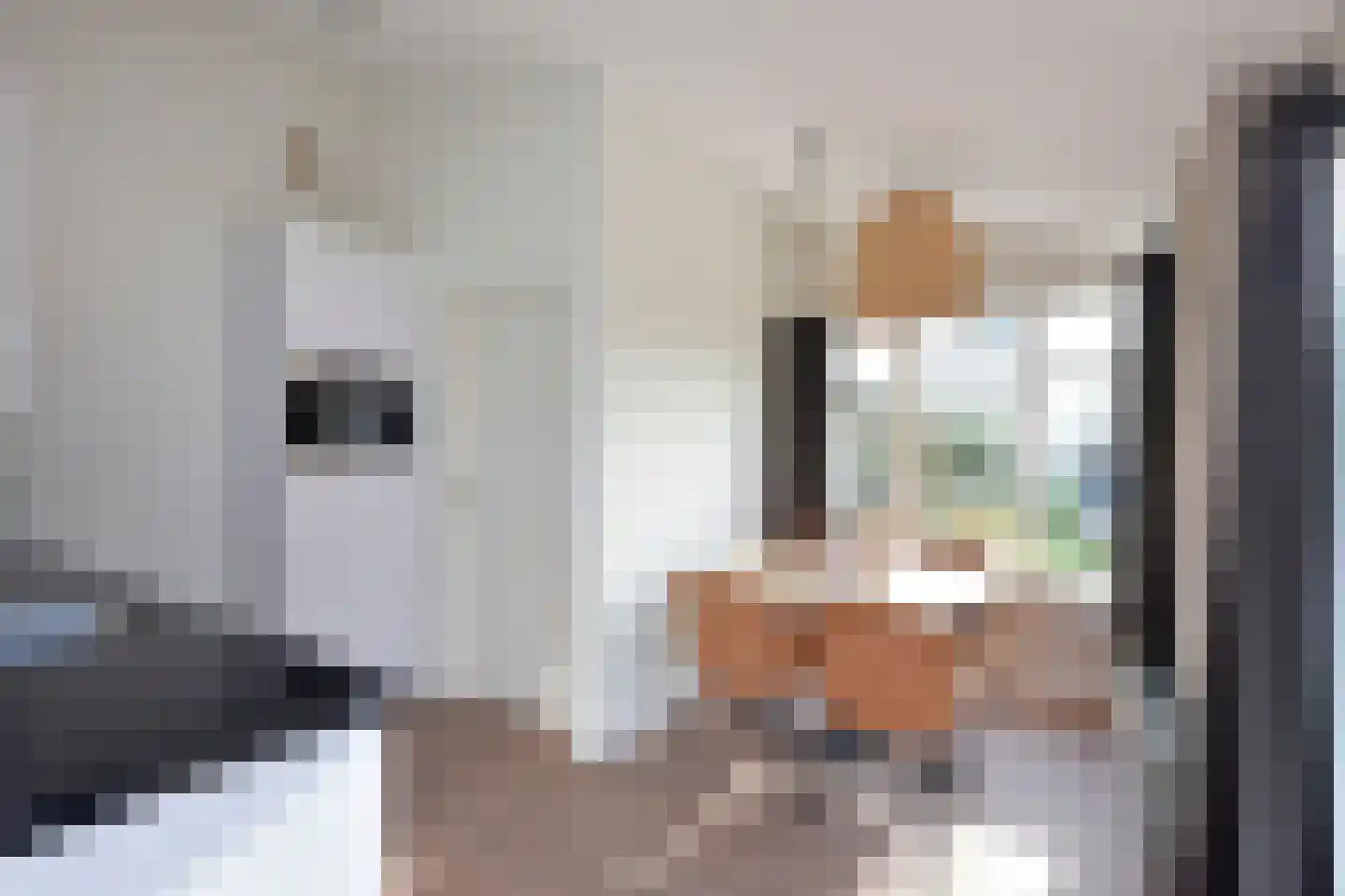 Sophiaboulevard 21 Kamperland thumbnail 11